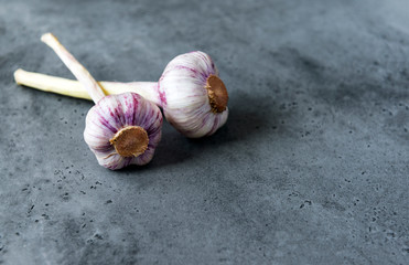 2 heads of fresh young garlic on grey concrete background