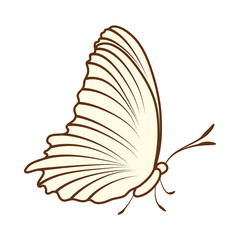 Sketch of Butterfly