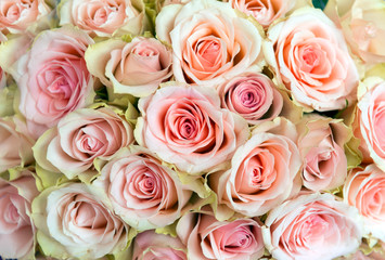 Obraz na płótnie Canvas bouquet of pink roses, many flowers, rose petals