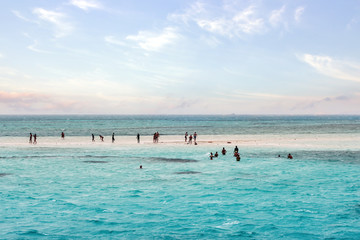 Snorkel girl snorkeling with mask and fins Red sea