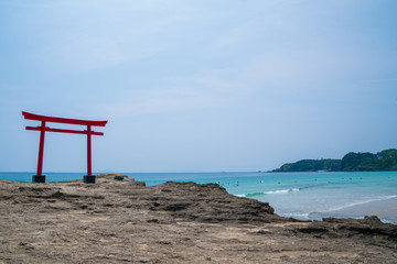 伊豆　白浜海岸　白浜神社の鳥居