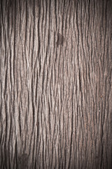 Texture of old bark wood