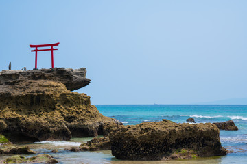 伊豆　白浜海岸　白浜神社の鳥居
