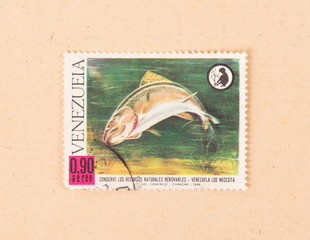 VENEZUELA - CIRCA 1968: A stamp printed in Venezuela shows a large fish, circa 1968