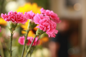 Magasin de fleuriste	