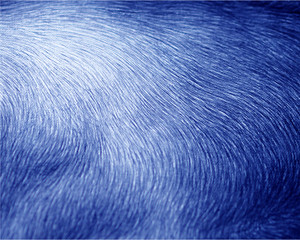 blue dark oil paint abstract background.