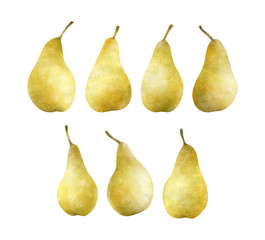 Hand painted pears isolated on a white background.