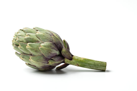 Green Artichoke, Edible Flower, Italian Vegetable "Carciofo" &ndash; Close-Up on Leaves and Stem &ndash; Isolated on White Background