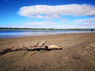marche &agrave; pied autour du lac du ponant, grande motte, h&eacute;rault