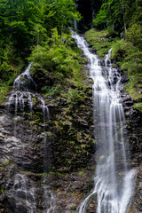 panorama of high picturesque waterfall in lush green forest landscape