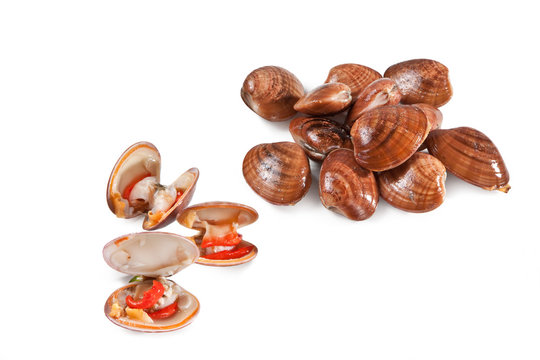 Smooth clam, Mediterranean fish, Fasolari, Callista chione