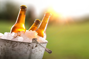 Three beer bottles in bucket full of ice cubes field