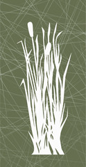 reeds on the green background, design interior
