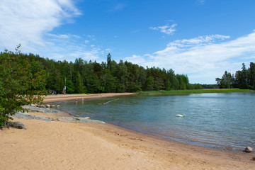The urban public beach and the resting place of people and swans in Ruissalo Park in the island part of Turku in Finland on a summer day. Recreation and nature in Finland.
