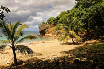 Anse Crawen in Les Saintes island