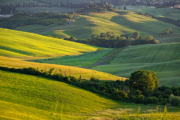 Typical Tuscany landscape with hills, green trees and houses, Italy.