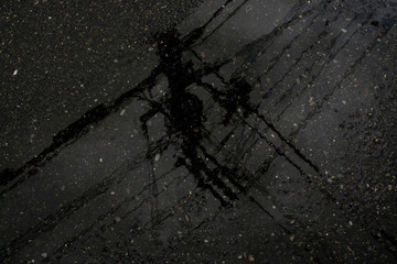 Telegraph pole reflection in the rain.