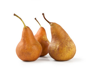 Bosc Pears, Isolated on White Background – Arranged Group of Three Brown Pears, Kaiser Cultivar – Detailed Close-Up Macro on Skin, High Resolution