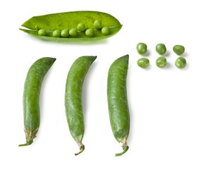 Pea, Piselli Freschi, Pisum sativum