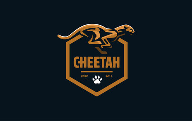 The image of a cheetah.