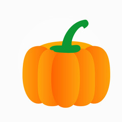 pumpkin flat icon. vector illustration. isolated on white background