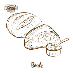 Boule bread vector drawing