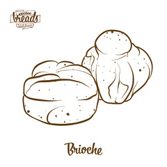Brioche bread vector drawing