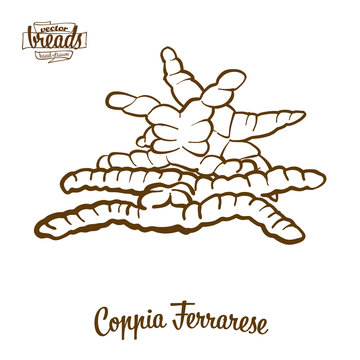 Coppia Ferrarese bread vector drawing