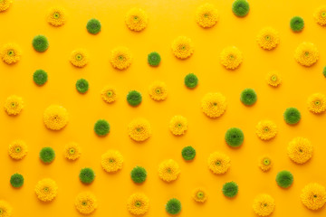 Yellow flower pattern on a yellow background.  Spring greeting card.