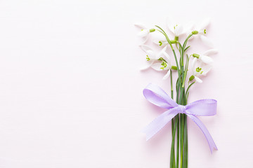 Fresh snowdrops on pink background with place for text. Spring greeting card.