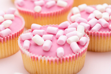 Colorful cupcakes on a pink background.