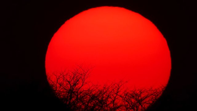 huge setting sun in the evening