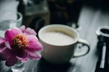 cup, coffee, drink, beverage, cafe