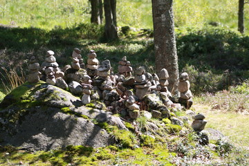 Fototapeta premium Scandinavian meadow