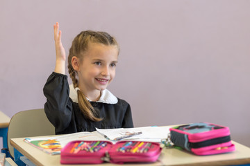 Elementary school student in classroom