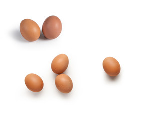 Egg - Uovo - isolated on white
