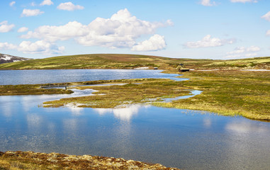 Fototapeta premium River Orkla and lake Orkel, Norway