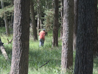 young man in the forest