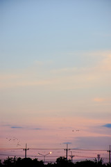Fototapeta premium Before sunset 