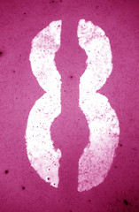 Number 8 in stencil on grungy metal wall in pink tone.