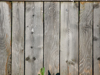 Old gray wooden fence from parallel boards