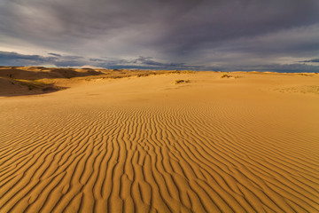 Beautiful views of the desert landscape. Gobi Desert. Mongolia.