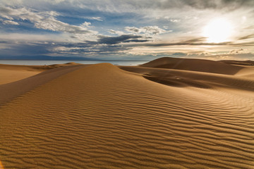 Fototapeta na wymiar Beautiful views of the desert landscape. Gobi Desert. Mongolia.