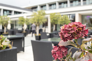Blume vor Gebäude