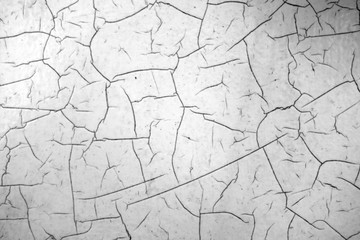 Cracked paint texture in black and white.