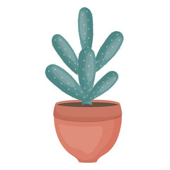 exotic cactus plant in ceramic pot