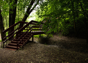 A wood bridge in forest