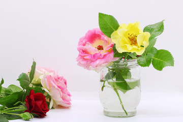 flower in a glass vase, roses close-up on a white background in a vase, postcard for a holiday, beautiful flowers, a place for text