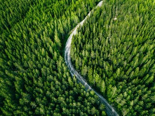 Aerial view of green forest road. Curved road from above.
