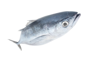 Raw tuna fish isolated on white background